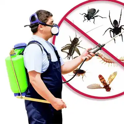 pest control Lawton